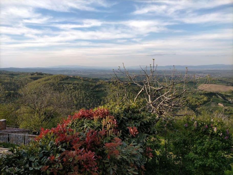 Oasi Del Borgo Villa Montefollonico Eksteriør bilde